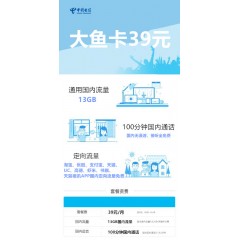 中國電信  大魚卡39元套餐【下訂單，中國郵政快遞包郵到家?！? width=