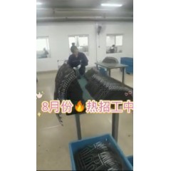 浙江江山電熱棒廠  長白班～兩班倒   男18-55，女18-50周歲