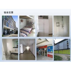 北京電子廠  招聘  女158以上，男165以上，年齡16-40歲