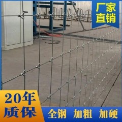 養(yǎng)殖防護網熱鍍鋅鐵絲網圍欄牛欄網養(yǎng)牛養(yǎng)羊隔離網養(yǎng)雞果園護欄網