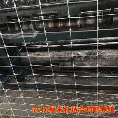 養(yǎng)殖防護網熱鍍鋅鐵絲網圍欄牛欄網養(yǎng)牛養(yǎng)羊隔離網養(yǎng)雞果園護欄網
