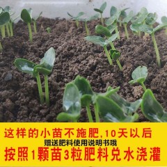 蔬菜復(fù)合肥盆栽花卉通用型氮磷鉀肥料種菜蔬菜專(zhuān)用肥水溶復(fù)合肥